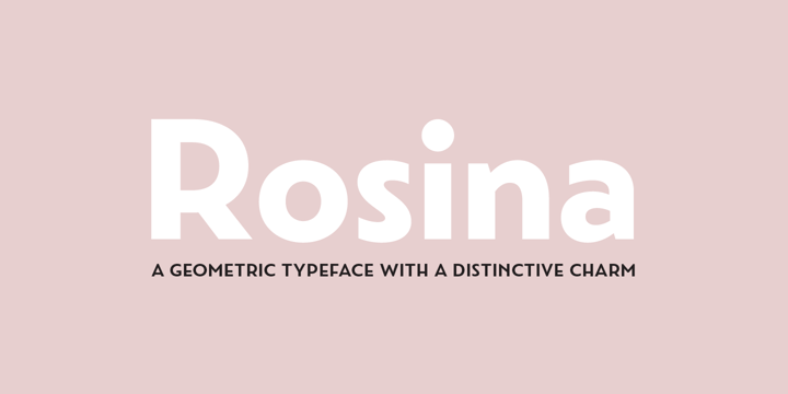 Rosina Font Poster 9