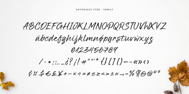 Notorious Font Poster 5