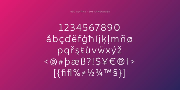 Igna Sans Font Poster 7