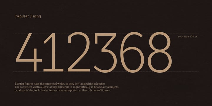 TT Slabs Condensed Font Poster 8