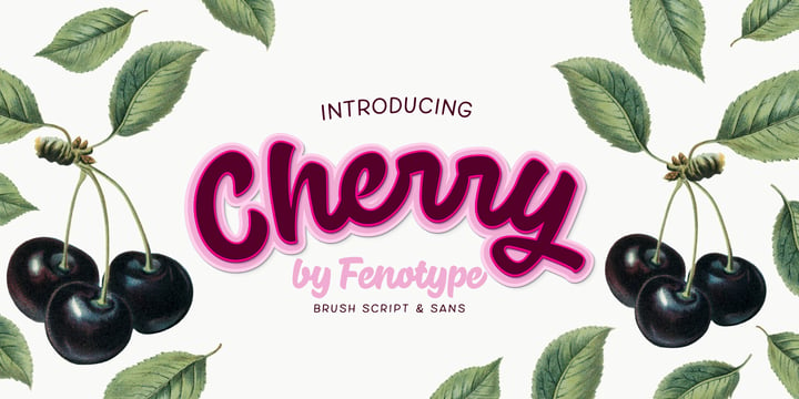 Cherry Font Poster 11