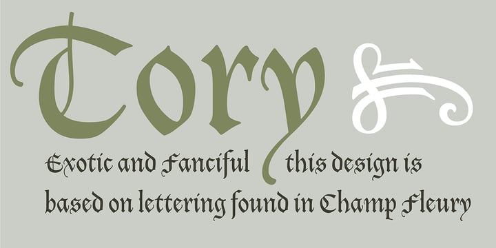 Tory Font Poster 4