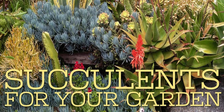 Warrior Font Poster 4