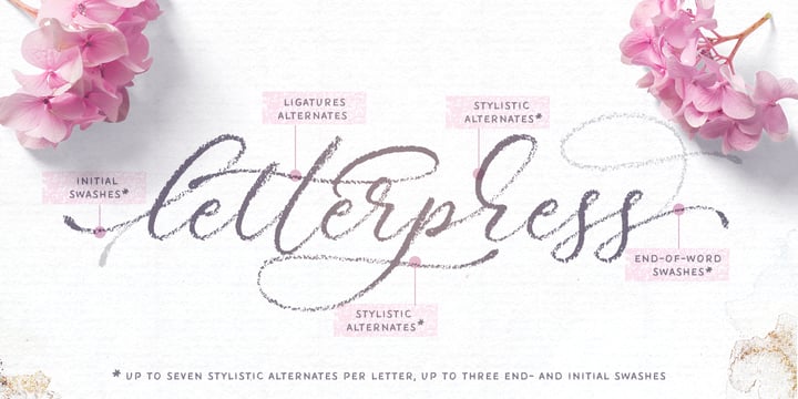 Palomino Font Poster 5