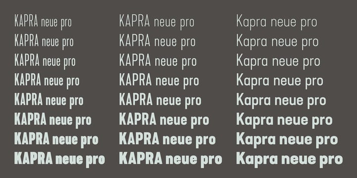 Kapra Neue Pro Font Poster 5