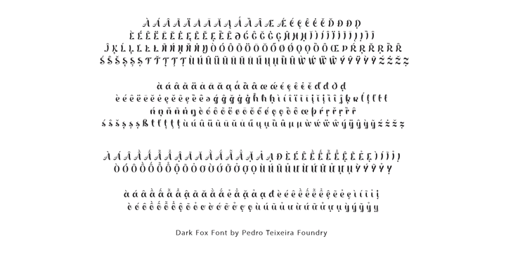 Dark Fox Font Poster 2