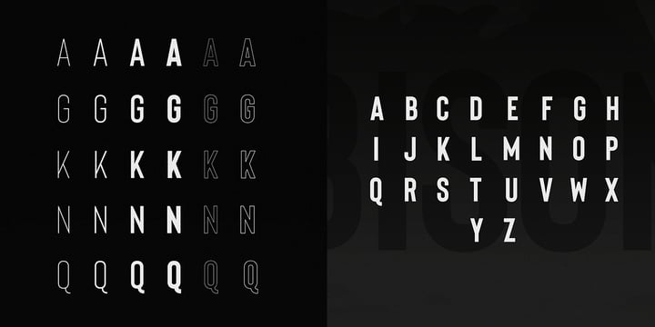 Bison Font | Webfont & Desktop | MyFonts