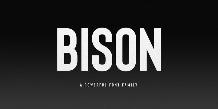 Bison Font | Webfont & Desktop | MyFonts