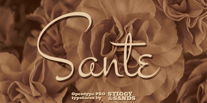 Sante Pro Font Poster 1