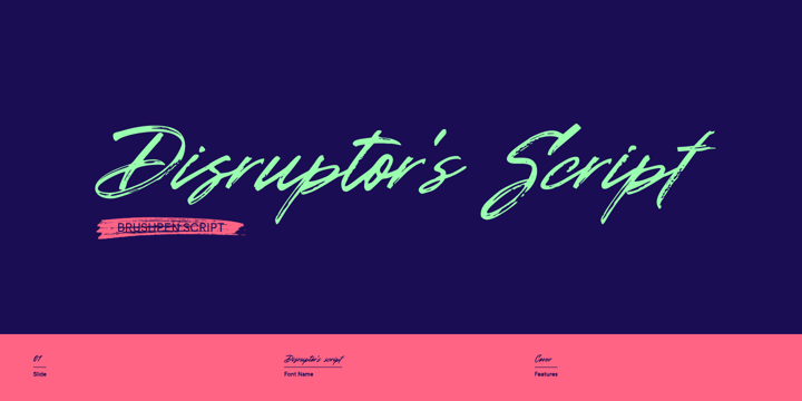 Disruptor's Script Font Poster 1