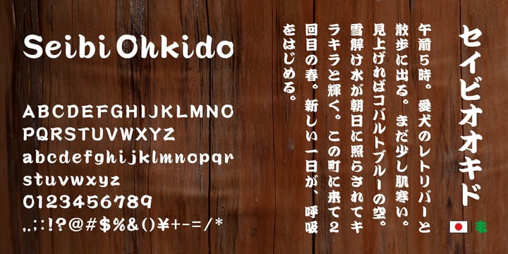 Seibi Ohkido Font Poster 2