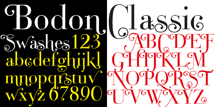 Bodoni Classic Swashes Font Poster 2