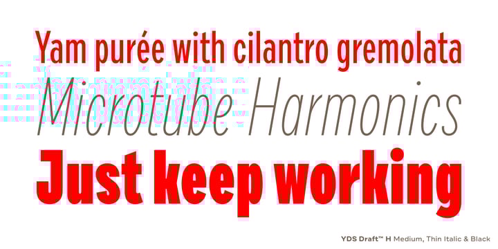 Draft Font Poster 4