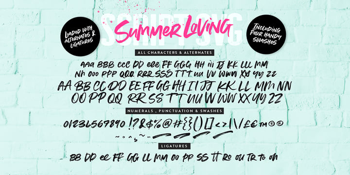 Summer Loving Font Poster 15