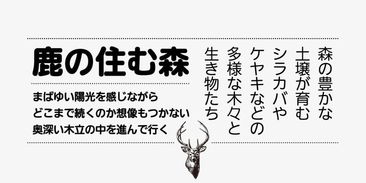 Iwata UD Maru Gothic Pro Font Poster 3