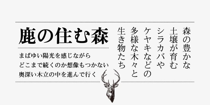 Iwata Mincho Std Font Poster 3