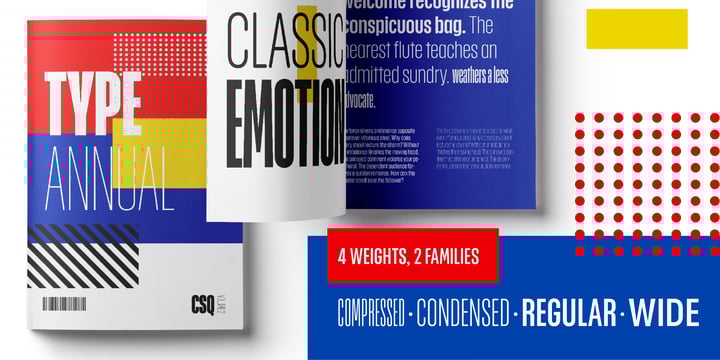Placard Next Font Poster 4