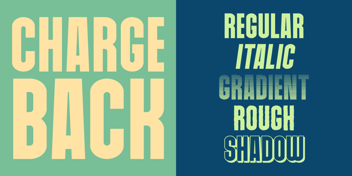 Chargeback Font Poster 8