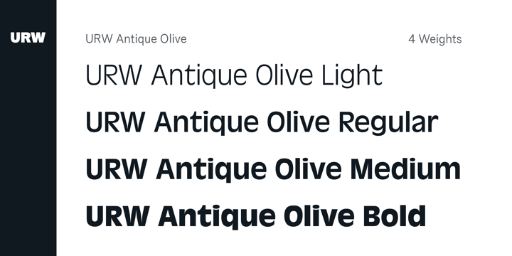 Antique Olive Font Poster 3