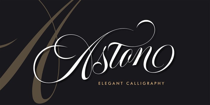 Aston Script Pro Font Poster 1