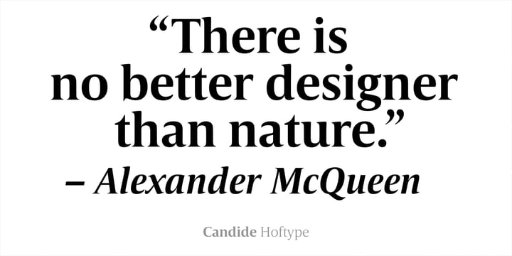 Candide Font Poster 2