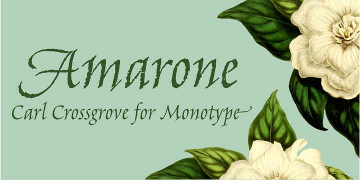 Amarone Font Poster 1