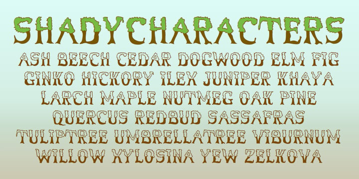 ShadyCharacters Font Poster 4