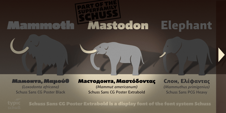 Schuss Sans CG Poster Extrabold