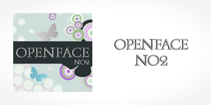 Openface No2