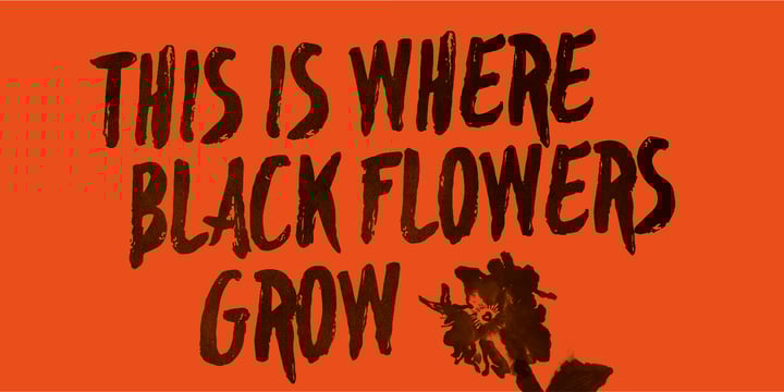 Blackflower