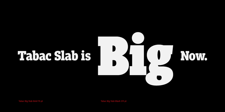 Tabac Big Slab Font Poster 7