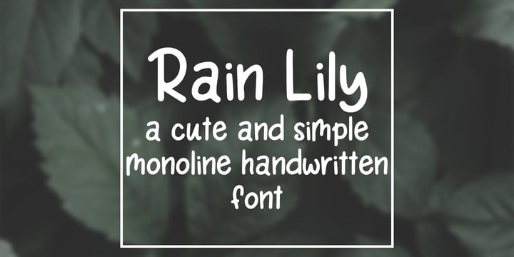 Rain Lily Font Poster 6