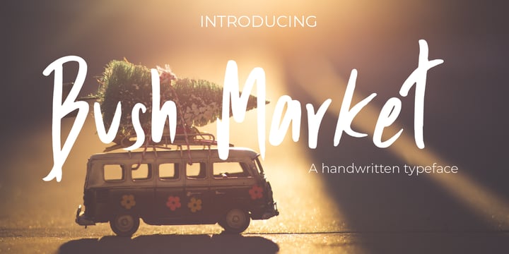 Bush Market Font Poster 6