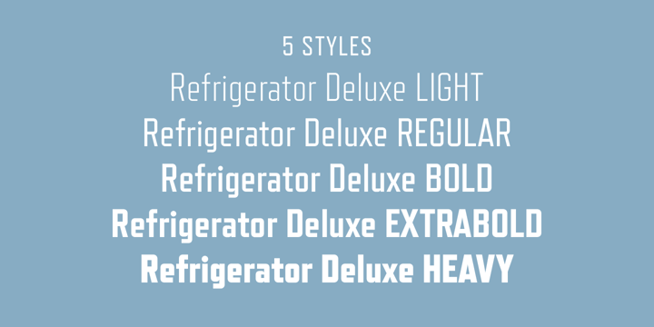 Refrigerator Deluxe Font Poster 3