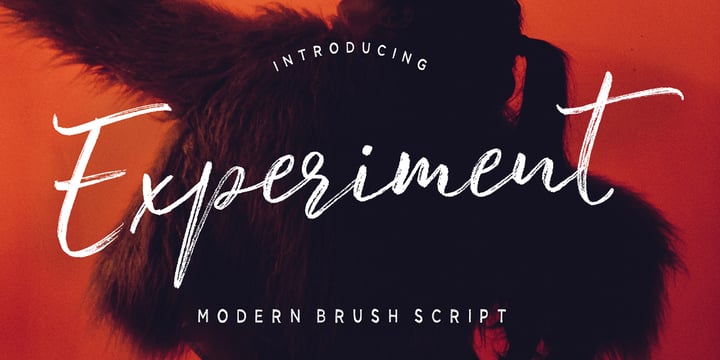 Experiment Brush Script Font Poster 5