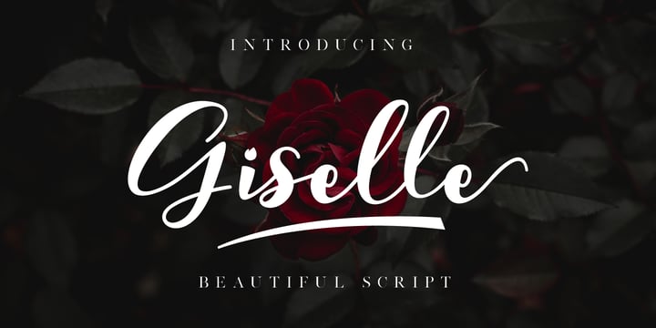 Giselle Font | Webfont & Desktop | MyFonts