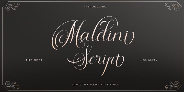 Maldini Script Font Poster 2