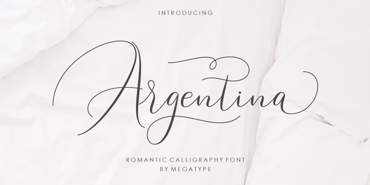 Argentina Script Font Poster 10