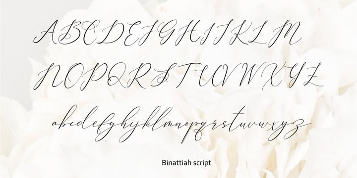 Binattiah Script Font Poster 2