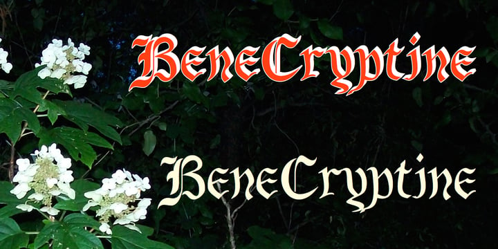 BeneCryptine Font Poster 2