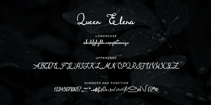 Queen Elena Font Poster 3
