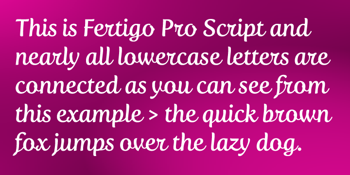Fertigo Pro Script Font Poster 2