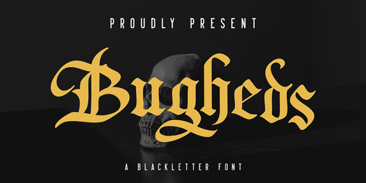 Bugheds Font Poster 1
