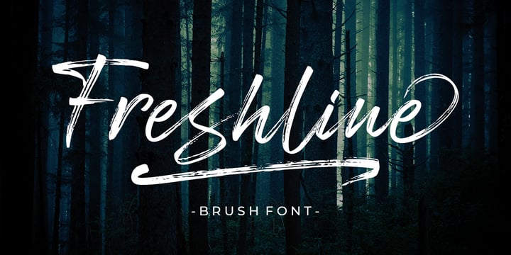 Freshline Font Poster 9