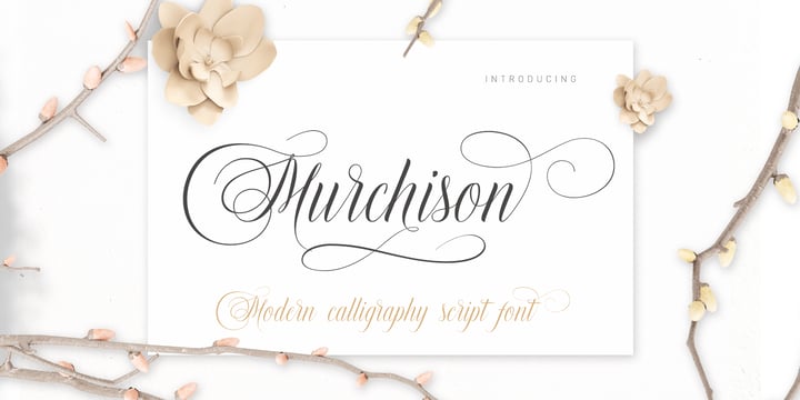 Murchison Script Font Poster 9