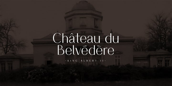 HV Simplicité Font Poster 10