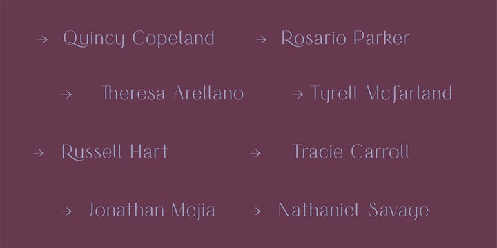 HV Simplicité Font Poster 7