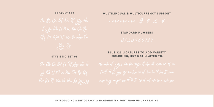 Meritocracy Font Poster 6