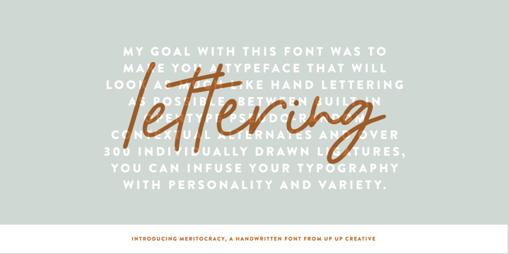 Meritocracy Font Poster 3