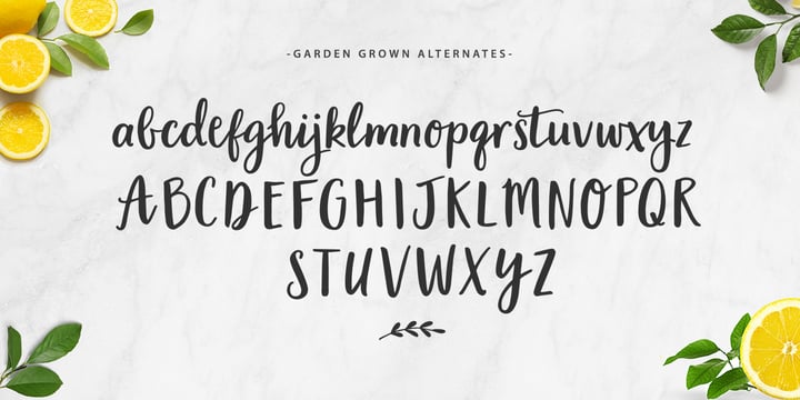 Garden Collection Font Poster 8